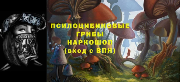 прущий лед Белокуриха